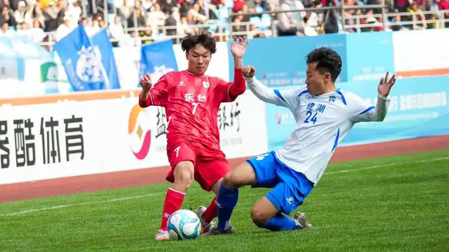 雨燕体育直播在线观看